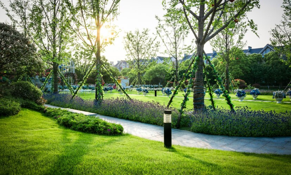 Affordable Landscaping Near Me in New York NYC