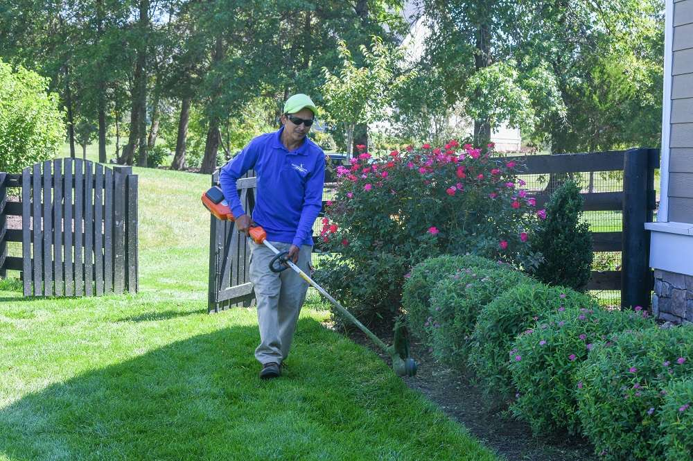 Where Can I Find Affordable Landscaping Services in New York